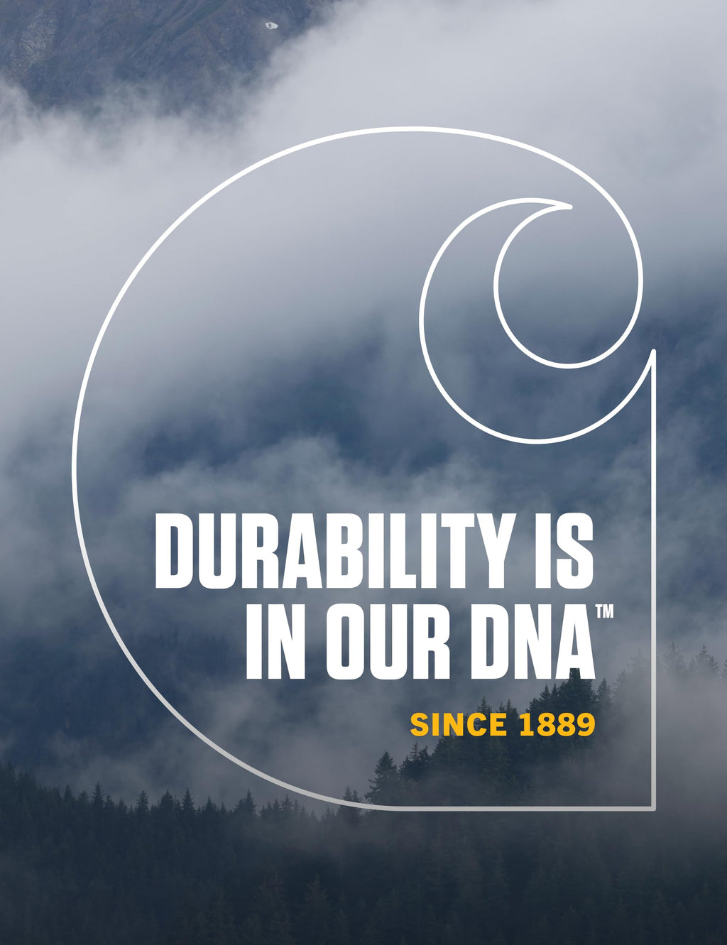 Carhartt Mens Acrylic Watch Hat A18