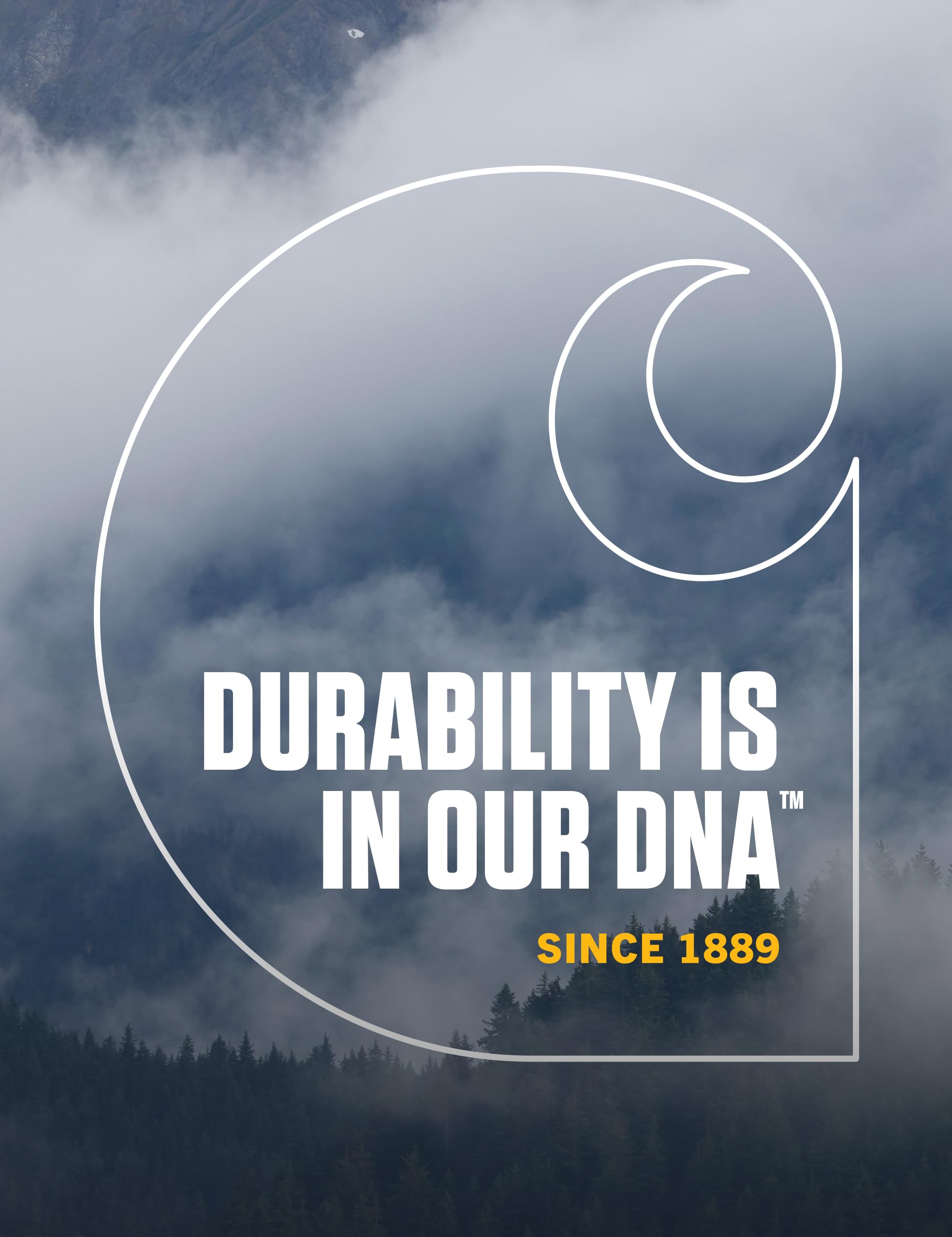 Carhartt Mens Acrylic Watch Hat A18