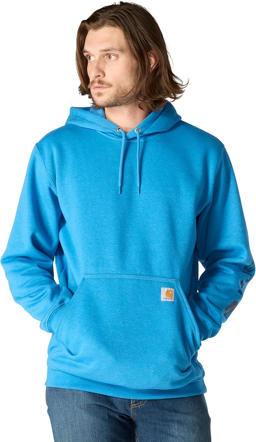 Carhartt mens Loose Fit Midweight Logo Sleeve Graphic SweatshirtSweatshirt